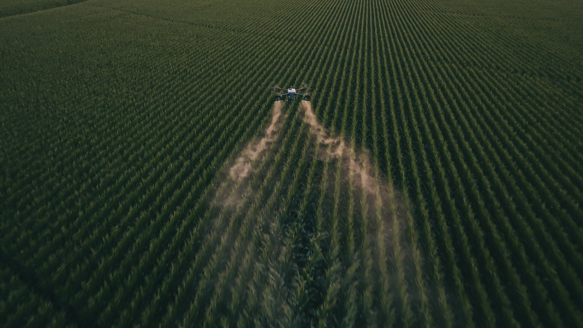 Still 2025-07-09 091512_1.55.2